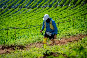 BIB: 
                            <button type="button" onclick="openModal(19162478)" class="btn btn-primary btn-sm float-right btn-popup" data-toggle="modal" data-target=".modal-high-quality">
                        <i class="fas fa-shopping-cart"></i> Add to Cart
                    </button>
                                            <button type="button" onclick="isThisMe(19162478, true)" class="btn btn-success btn-sm float-right btn-popup btn-isme hidden" data-toggle="tooltip" data-placement="bottom" title="นี่คือรูปของคุณใช่ไหม คลิกที่นี่เพื่อเอาเข้าอัลบั้ม">
                        <i class="fas fa-plus"></i> Add to album
                    </button>
                    <button type="button" onclick="isThisMe(19162478, false)" class="btn btn-warning btn-sm float-right btn-popup btn-isnotme hidden">
                        <i class="fas fa-ban"></i> Remove from album
                    </button>